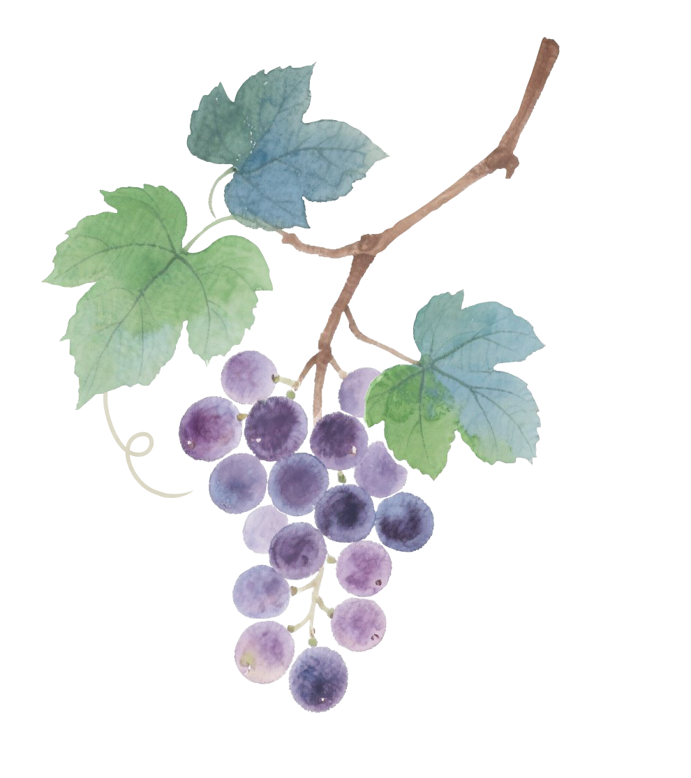 湖北省农药协会参访团莅临农达生化调研交流(图1) 湖北省农药协会参访团莅临农达生化调研交流(图1)