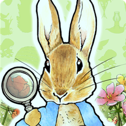 九游appag电子官网 v4.0.45