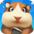 华体育会app-官方网站 v4.7.33
