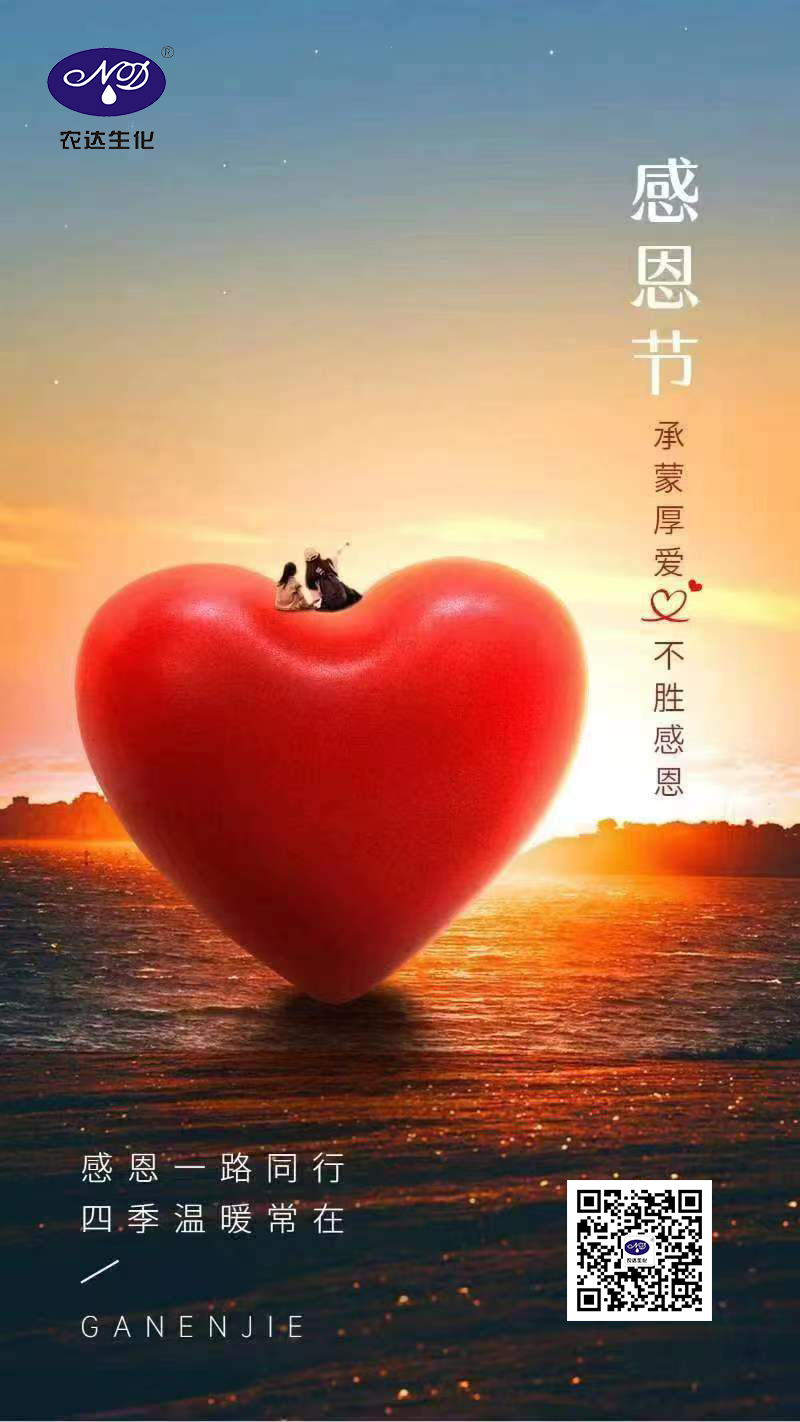 感恩与你一路同行(图1)