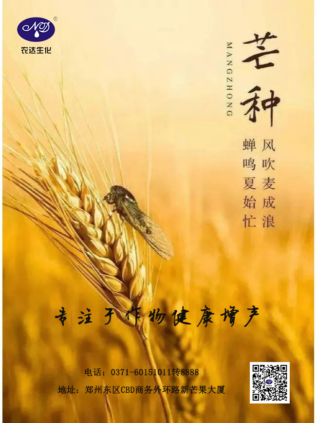 芒种与农事(图1) 芒种与农事(图1)