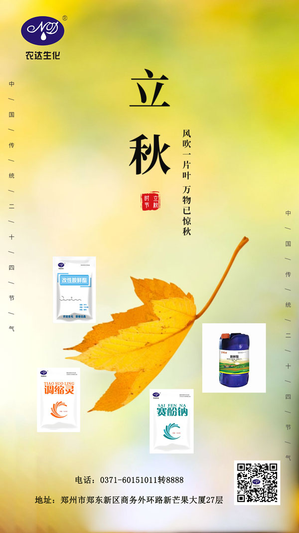 今日立秋(图1) 今日立秋(图1)