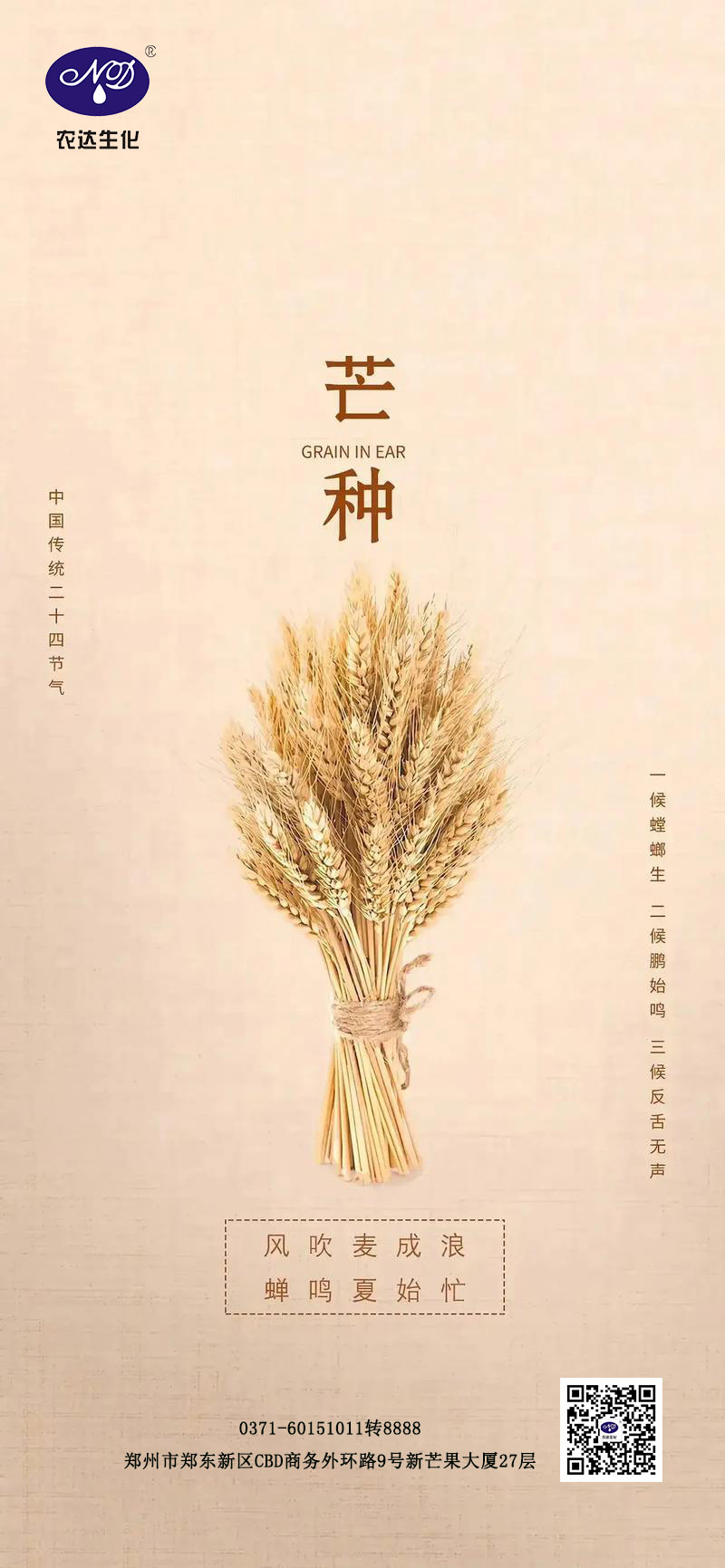 芒种节气(图1)