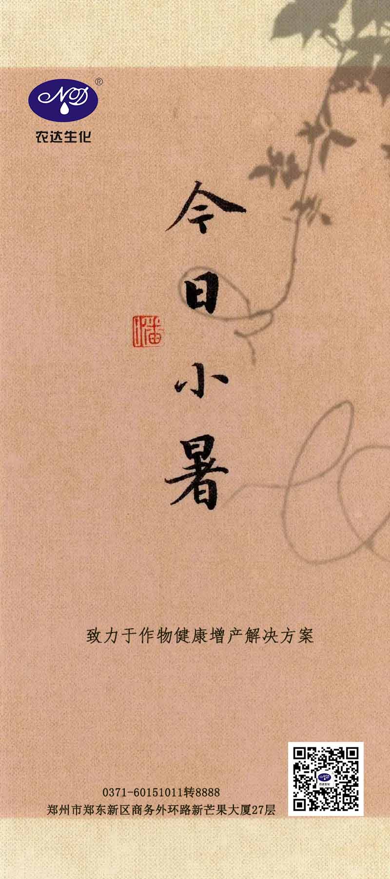 今日小暑(图1)