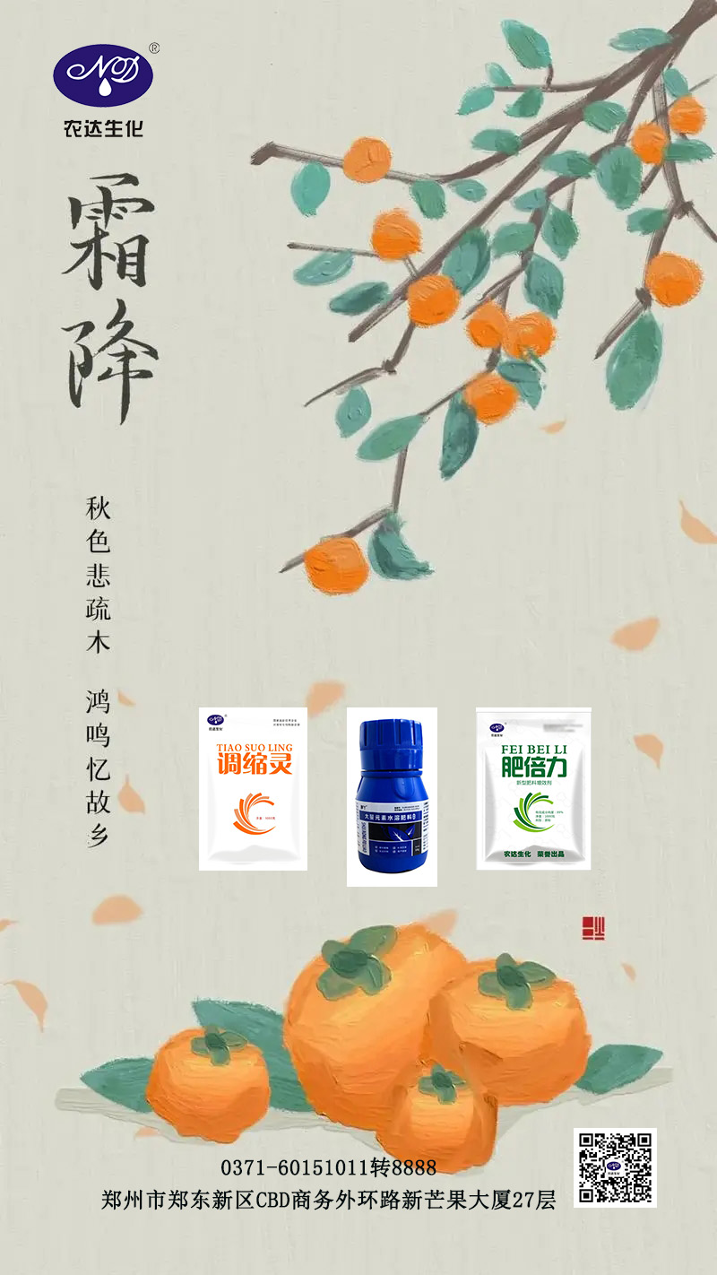 今日霜降(图1)