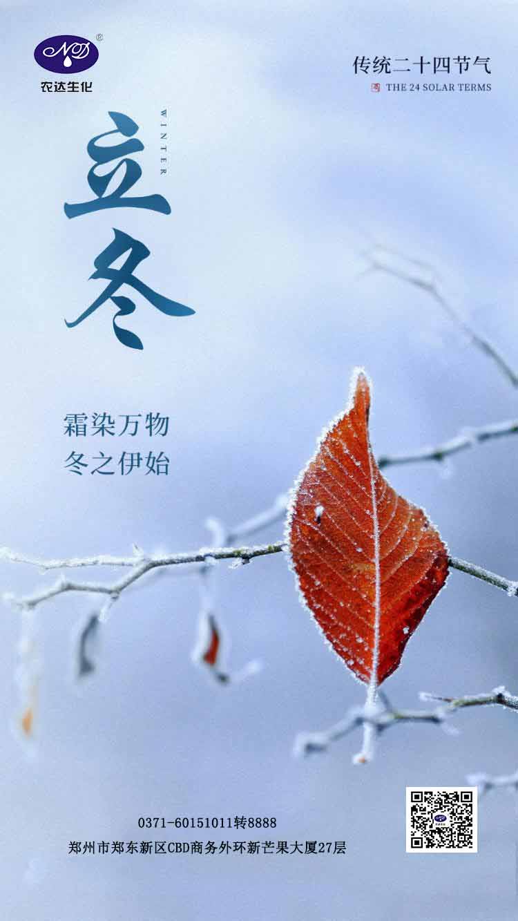 今日立冬(图1)