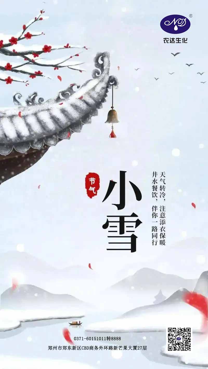 今日小雪(图1)