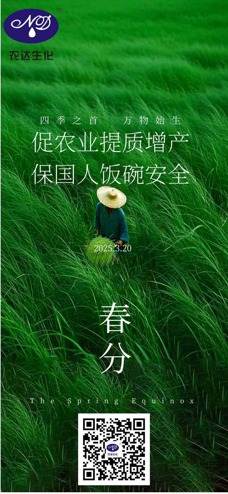 今日春分(图1)