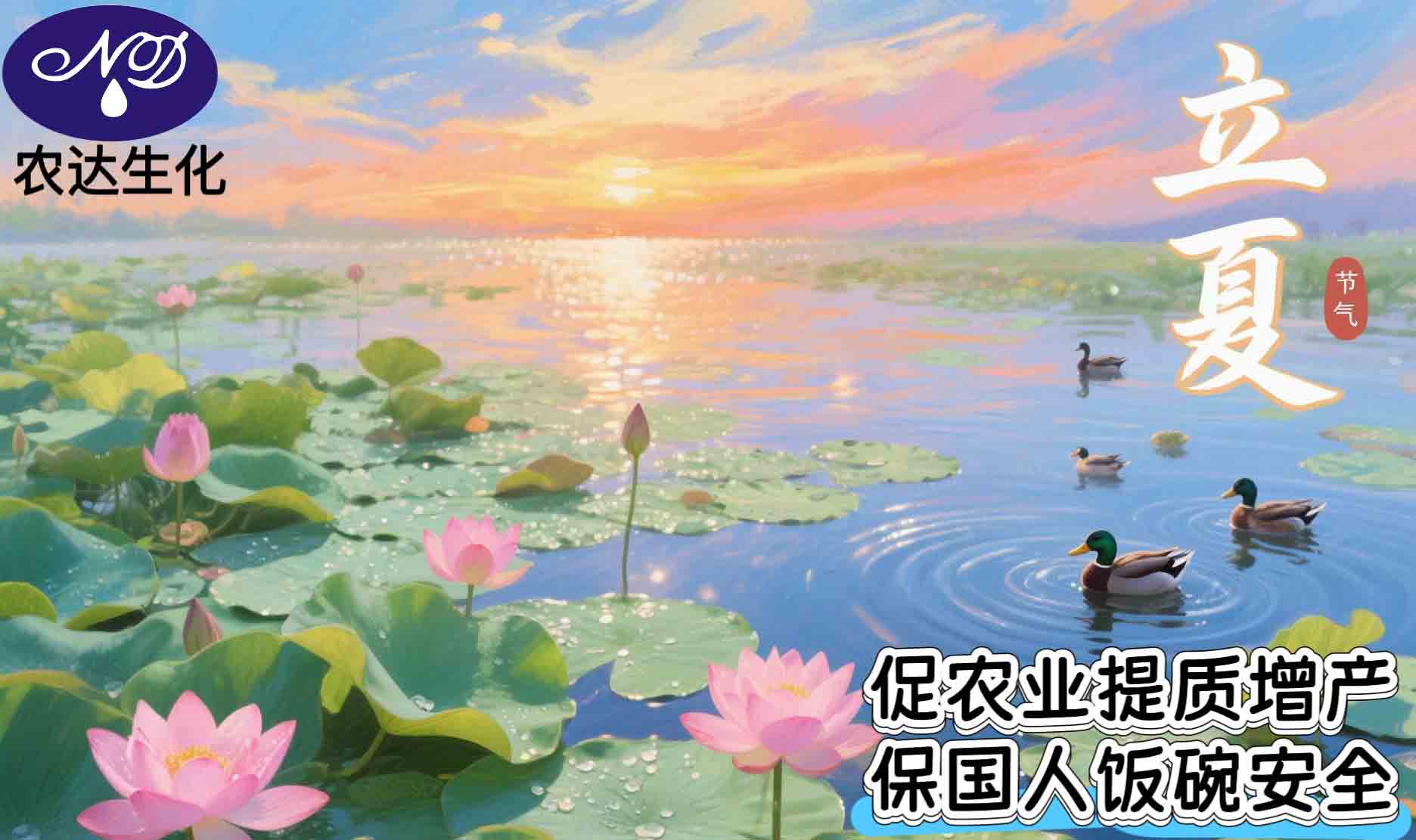 今日，立夏！(图1)